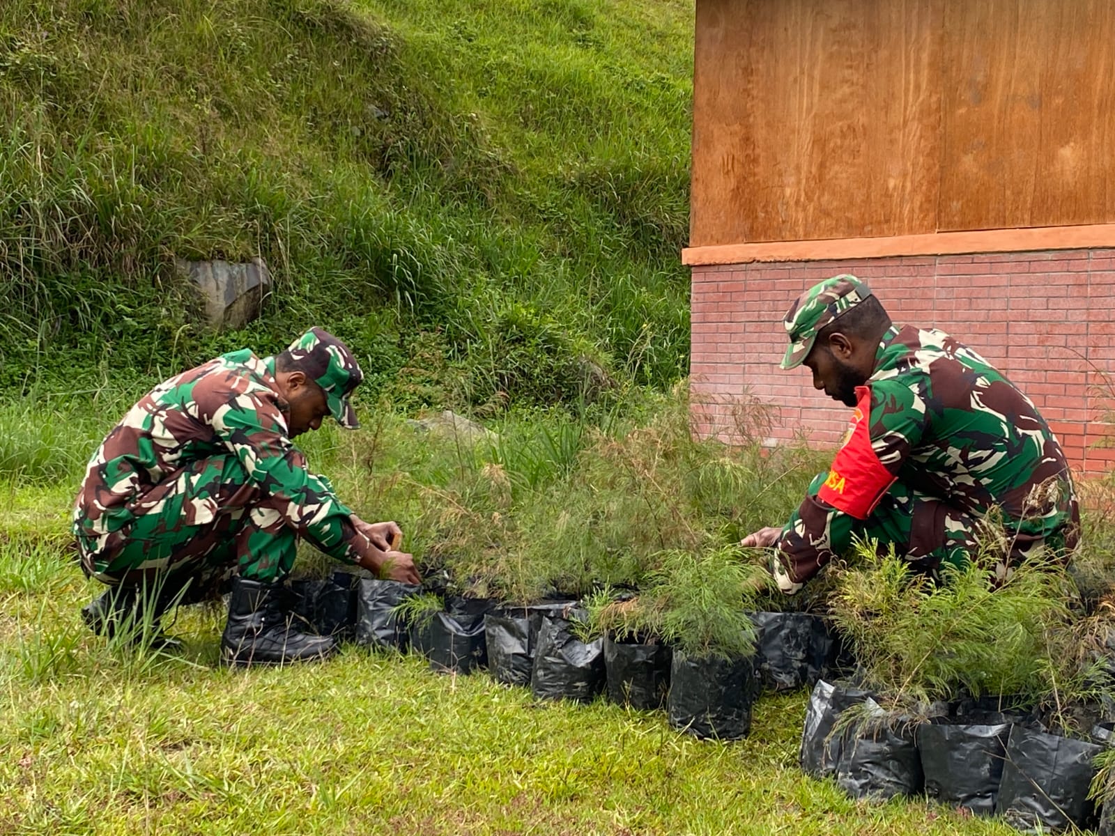 Kodim 1714/Puncak Jaya Bersama Rakyat Tanam Bibit Cemara Sebagai Generasi Mendatang Untuk Kabupaten Puncak Jaya
