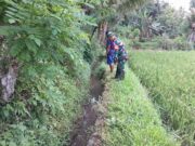 Bersihkan Sungai Demi Kelancaran Irigasi, Wujud Babinsa Doko Bersama Warga Bersatu Dengan Alam