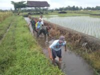 Sinergi Babinsa Dan Masyarakat Desa Pojok Bersihkan Irigasi Demi Pertanian Lancar
