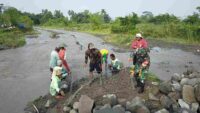 Demi Kelancaran Irigasi Pertanian, Babinsa Kamulan Dampingi Pembersihan Sungai Sodetan Kaliputih
