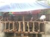 Anggota Kodim 1505/Tidore Bersama Masyarakat Buat Bakisting Gelagar Jembatan Garuda