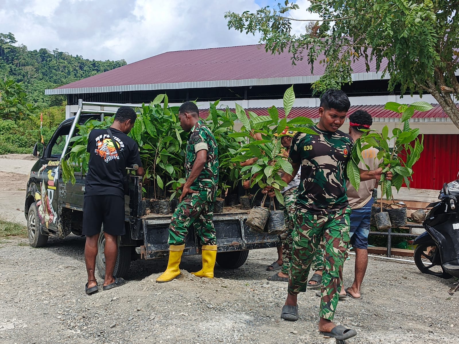 Penambahan Bibit Kakao dari PMK Tiba di Lokasi TMMD Ke-128 Kodim 1801/Manokwari