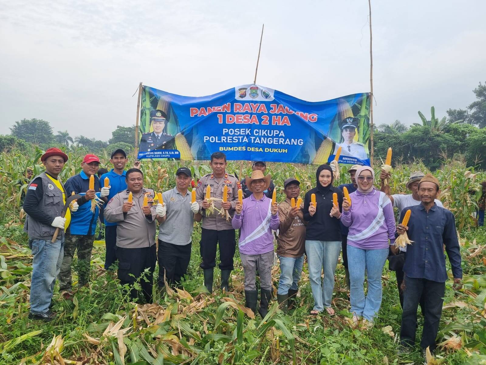 IMG-20260524-WA0000 Kanit Binmas Polsek Cikupa Hadiri Panen Jagung Program Ketahanan Pangan di Desa Dukuh