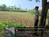 Aiptu Johnny Turun ke Sawah, Polisi Hadir Bukan Sekadar Penjaga Keamanan
