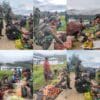 Satgas Yonif 2 Marinir Hadir untuk Rakyat, Borong Hasil Tanaman Warga Distrik Aradide Papua Tengah