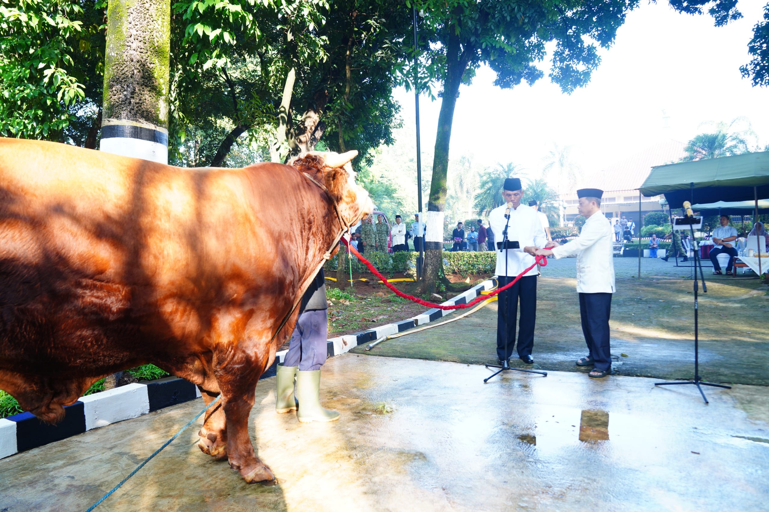 WhatsApp Image 2026-05-27 at 15.33.19 (2) Mabes TNI Gelar Sholat Idul Adha 1447 H dan Penyembelihan Hewan Kurban di Cilangkap