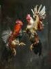 Dugaan Arena Sabung Ayam dan Judi Dadu di Kediri Terus Berpindah Lokasi, Warga Nilai Aparat Belum Menyentuh Aktor Utama