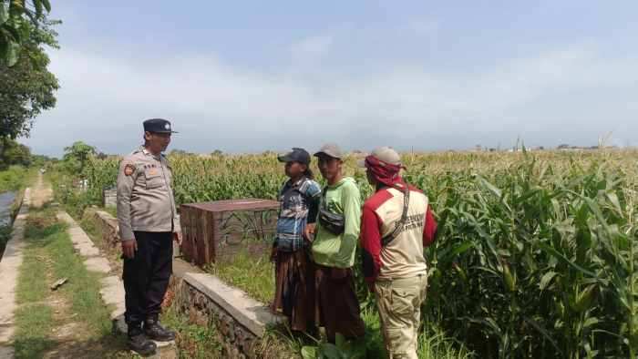 IMG-20260606-WA0405 Ketika Polisi Masuk Lahan Pertanian, Harapan Swasembada Pangan Kian Nyata