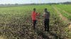 Sambangi Petani, Bhabinkamtibmas Kademangan Perkuat Keamanan dan Produktivitas Pertanian