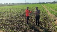 Sambangi Petani, Bhabinkamtibmas Kademangan Perkuat Keamanan dan Produktivitas Pertanian