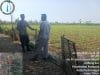 Polisi Turun ke Lahan Jagung, Ketahanan Pangan di Kedopok Dikawal Ketat