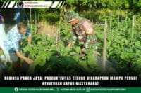 Babinsa Panca Jaya: Produktivitas Terong Diharapkan Mampu Penuhi Kebutuhan Sayur Masyarakat