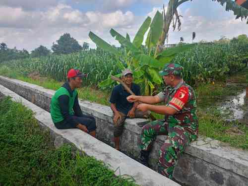 04 Serap Aspirasi Petani, Sertu Yudhi Rimba Gelar Komsos Ketahanan Pangan Bersama Poktan Kembang Kuning