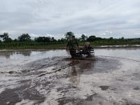 Perrcepat Masa Tanam, Babinsa Sumberingin Kopda Nizar Dampingi Petani Membajak Sawah