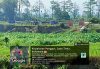 Sawah Produktif Berubah Jadi Lokasi Tambang, Siapa yang Membiarkan?