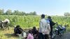 Polsek Wonoasih Perkuat Ketahanan Pangan Lewat Dialog dengan Petani Jagung