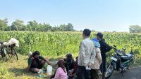 Polsek Wonoasih Perkuat Ketahanan Pangan Lewat Dialog dengan Petani Jagung