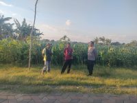 Polri Hadir di Tengah Petani, Polsubsektor Kanigaran Perkuat Sinergi Ketahanan Pangan