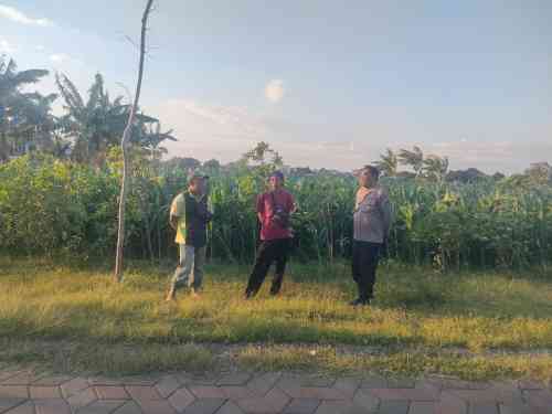 IMG-20260709-WA0168 Polri Hadir di Tengah Petani, Polsubsektor Kanigaran Perkuat Sinergi Ketahanan Pangan