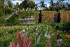 Wujud Nyata Sinergi, Bhabinkamtibmas Polsek Randuagung Dampingi Petani Wujudkan Ketahanan Pangan Nasional