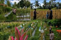 Wujud Nyata Sinergi, Bhabinkamtibmas Polsek Randuagung Dampingi Petani Wujudkan Ketahanan Pangan Nasional