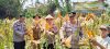 Wakapolsek Cikupa Hadiri Panen Jagung Program 1 Desa 2 Hektar di Pasir Jaya, Perkuat Ketahanan Pangan Nasional