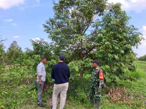 WhatsApp Image 2026-07-07 at 20.35.50 Babinsa Koramil 0908-03/Anggana Perkuat Ketahanan Pangan Melalui Komsos Bersama Petani Durian