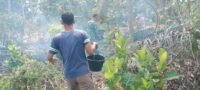 Aksi Cepat Babinsa Posramil Selopuro Bersama Warga Padamkan Kebakaran Lahan Bambu Di Blitar