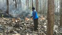 Tanggap Pancaroba, Babinsa Koramil Sutojayan Bersama Warga Padamkan Karhutla Di Gunung Sumber
