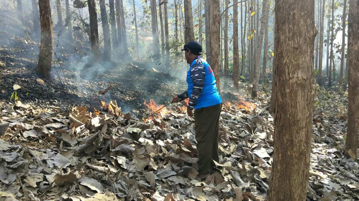 Tanggap Pancaroba, Babinsa Koramil Sutojayan Bersama Warga Padamkan Karhutla Di Gunung Sumber