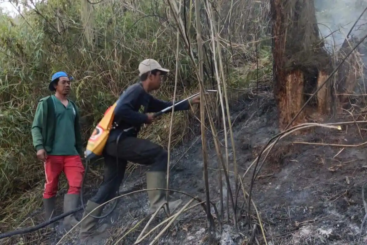 BB TNBTS tutup total pendakian Semeru usai kebakaran Blok Ranu Kembang