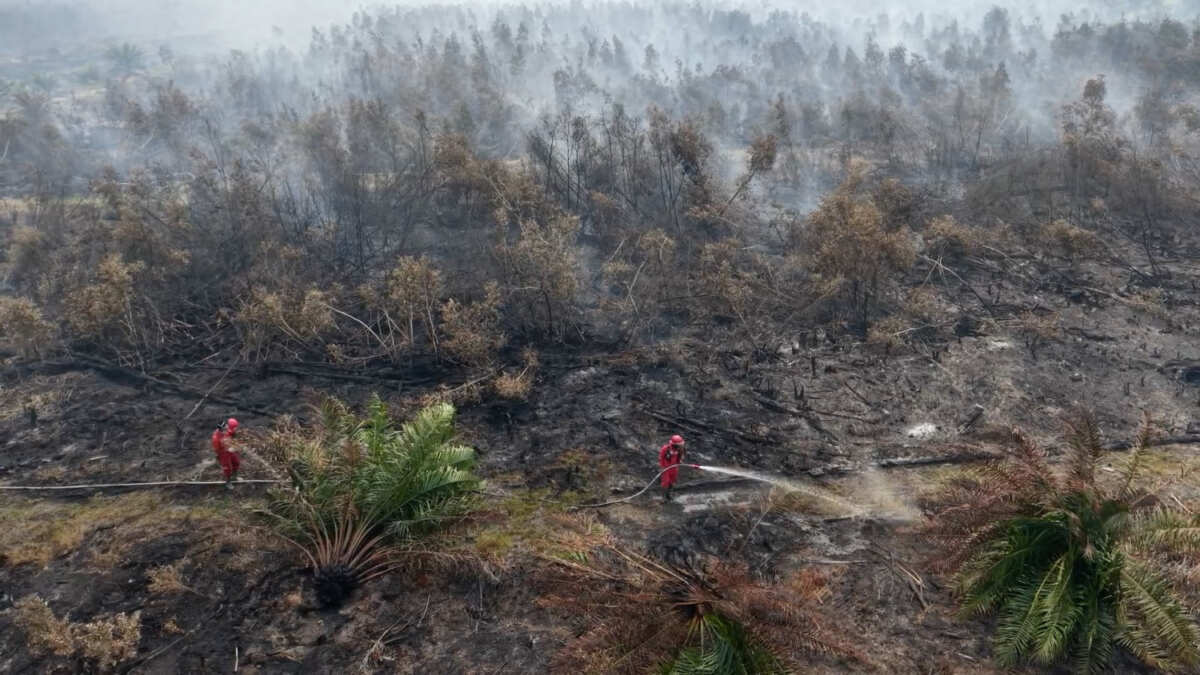 15 hari Manggala Agni berjibaku padamkan karhutla OKI