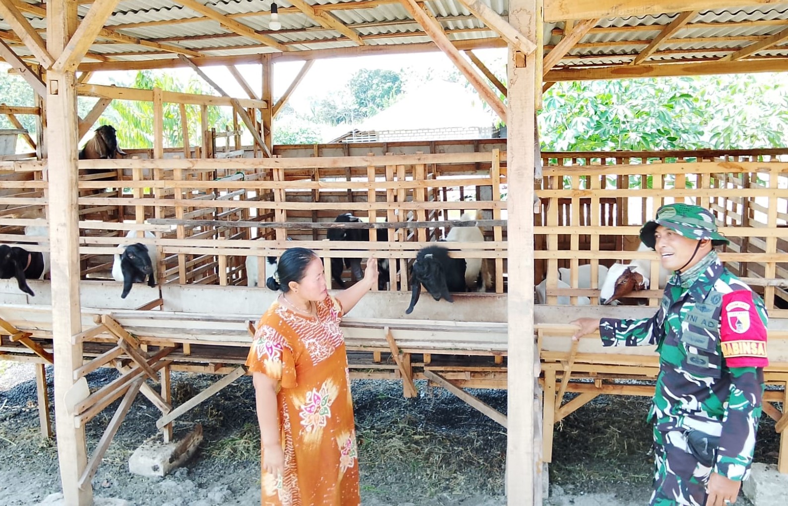 IMG-20260807-WA0061 TMMD 129 Bojonegoro: Babinsa Kesongo 'Sentuh Hati' Peternak Kambing