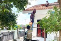 Atap Kokoh, Warna Baru: Sinergi Satgas TMMD 129 Bojonegoro dan Warga Sulap SDN Kesongo 1 Jadi Rumah Belajar Nyaman
