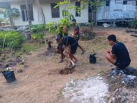 TMMD Ke-129 Kodim 1807/Sorsel, TNI dan Warga Tanam Pohon Bersama untuk Hijaukan Kampung Sesor