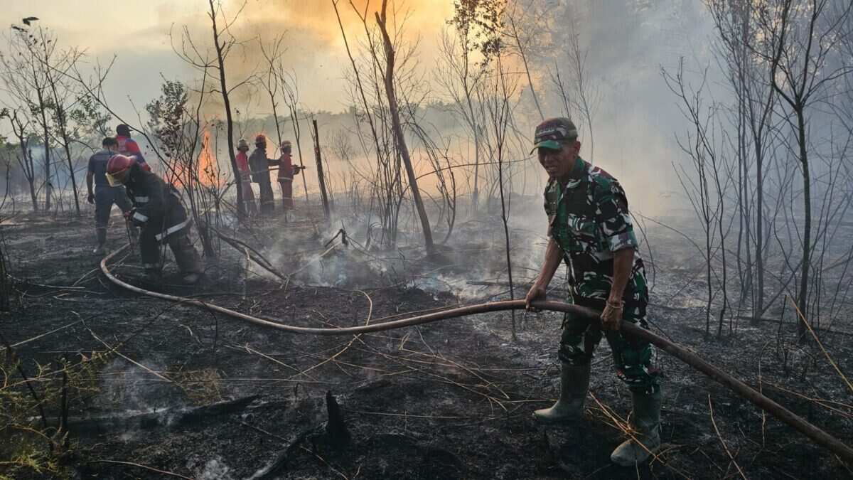 IMG-20260822-WA0089 Gerak Cepat Babinsa Koramil 0908-02/Muara Badak Bersama Damkar, Karhutla di Desa Tanjung Limau Berhasil Dipadamkan