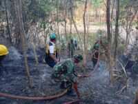 Personil Koramil 1505-03/Maba Berjibaku Padamkan Kebakaran Hutan di Puncak Gunung.
