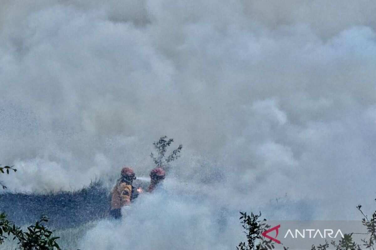 Kenaikan Kasus ISPA di Kalimantan Selatan Selama Karhutla