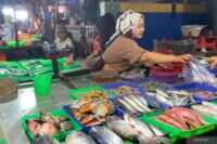 Relokasi Pedagang Ikan di Kramat Jati: Langkah Penataan Kawasan