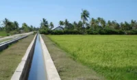 Strategi Kementan Atasi Kekeringan di Aceh