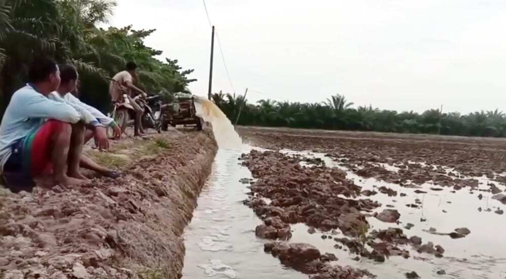 900 Hektare sawah mengering, Kaltim optimalkan pompa dan waduk