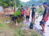 TMMD Ke-129 Kodim 1807/Sorsel Dorong Ketahanan Pangan, TNI Bersama Warga Bangun Kemandirian Pangan di Kampung Sesor