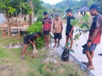 TMMD Ke-129 Kodim 1807/Sorsel Dorong Ketahanan Pangan, TNI Bersama Warga Bangun Kemandirian Pangan di Kampung Sesor