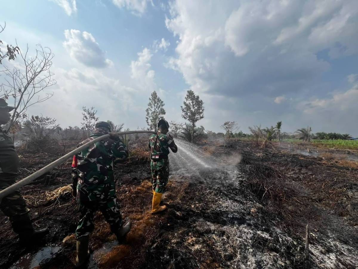 TNI Kerahkan 14.167 Personel Tangani Karhutla di Sejumlah Wilayah