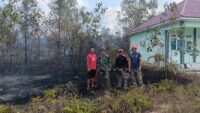 Babinsa Koramil 0908-01/Loktuan Bersama Damkar Bersinergi Padamkan Karhutla di Kelurahan Bontang Lestari