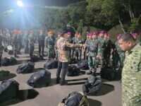 TNI Kerahkan Satgas Khusus Percepat Penanganan Karhutla di Riau