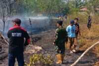 Gerak Cepat Babinsa Koramil 0908-01/Loktuan Bersama Damkar Padamkan Karhutla Di Kelurahan Bontang Lestari