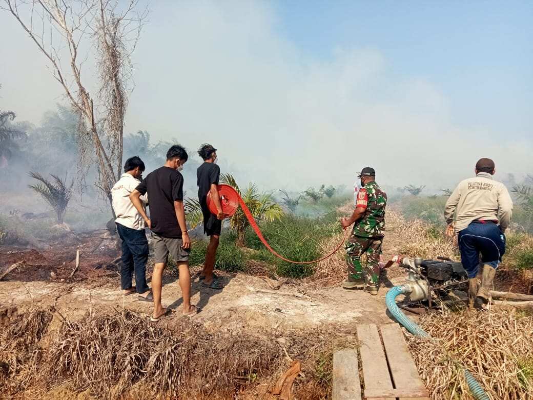 WhatsApp Image 2026-08-26 at 15.56.07 Babinsa Koramil 0908-04/Marangkayu Bersama Tim Gabungan Bergerak Cepat Padamkan Karhutla di Lahan Sawit