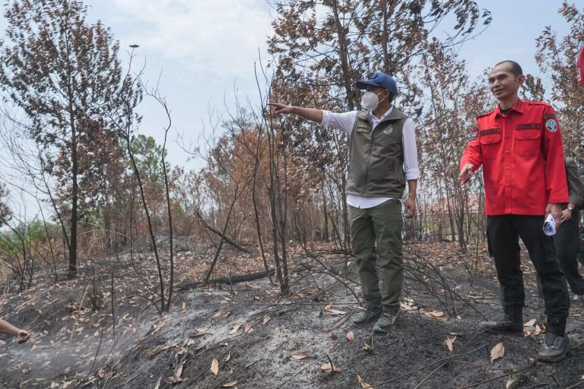 Menhut optimalkan modifikasi cuaca di daerah yang ada bibit awan hujan