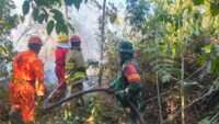 Babinsa Koramil 0909-04/Marangkayu Bersama Tim Gabungan Tanggap Padamkan Karhutla